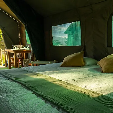 Safari Glamping Portugal Penguin