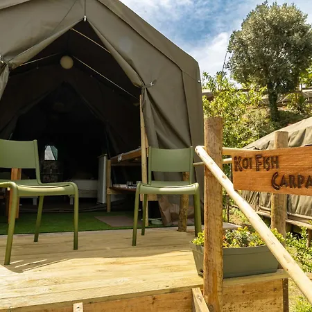 럭셔리텐트 Safari Glamping Portugal Penguin Ventosa (Braga)