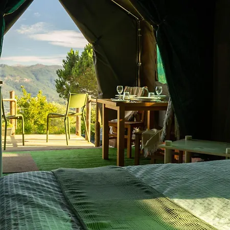 Safari Glamping Portugal Penguin