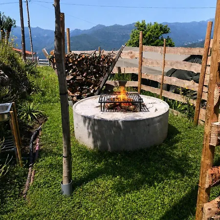 Safari Glamping Portugal Penguin 럭셔리텐트