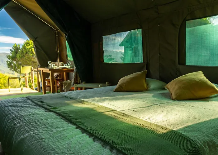 Safari Glamping Portugal Penguin