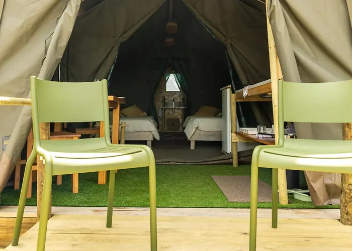 Safari Glamping Portugal Penguin *