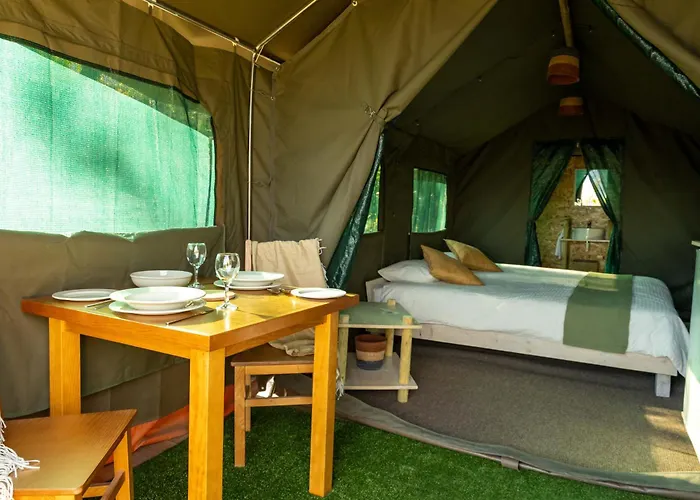 럭셔리텐트 Safari Glamping Portugal Penguin Ventosa (Braga)